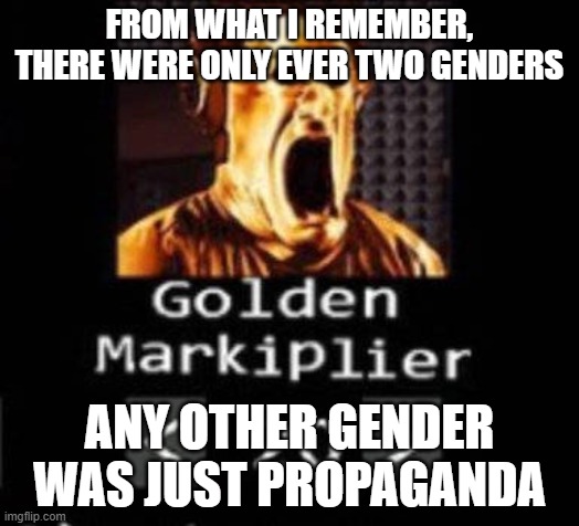 Golden Markiplier | FROM WHAT I REMEMBER, THERE WERE ONLY EVER TWO GENDERS; ANY OTHER GENDER WAS JUST PROPAGANDA | image tagged in golden markiplier | made w/ Imgflip meme maker