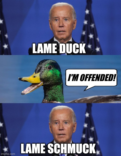 Let's Go, Re-branded | LAME DUCK; I'M OFFENDED! LAME SCHMUCK | image tagged in joe biden | made w/ Imgflip meme maker