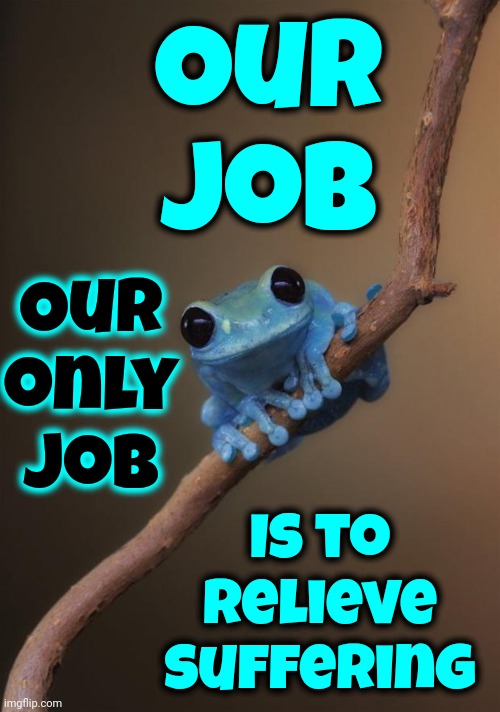 Judge Not.  Love Your Neighbor. | Our job; Our only job; Is to relieve suffering | image tagged in small fact frog,judge not,love your neighbor,help when you can,be kind,memes | made w/ Imgflip meme maker