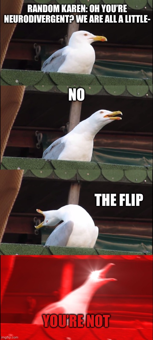 Inhaling Seagull | RANDOM KAREN: OH YOU’RE NEURODIVERGENT? WE ARE ALL A LITTLE-; NO; THE FLIP; YOU’RE NOT | image tagged in memes,inhaling seagull | made w/ Imgflip meme maker