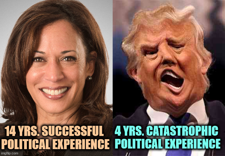 Harris successful. Trump incompetent. | 4 YRS. CATASTROPHIC 
POLITICAL EXPERIENCE; 14 YRS. SUCCESSFUL 
POLITICAL EXPERIENCE | image tagged in kamala harris sane donald trump crazy on acid,kamala harris,success,donald trump,failure | made w/ Imgflip meme maker