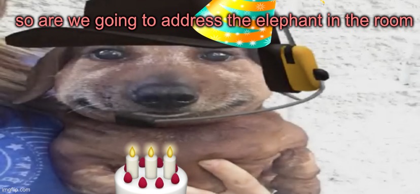 (Mex note: happy birthday) {Uli note: Happy birthday} | so are we going to address the elephant in the room | image tagged in chucklenuts | made w/ Imgflip meme maker