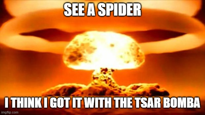 Atomic Bomb | SEE A SPIDER; I THINK I GOT IT WITH THE TSAR BOMBA | image tagged in atomic bomb | made w/ Imgflip meme maker