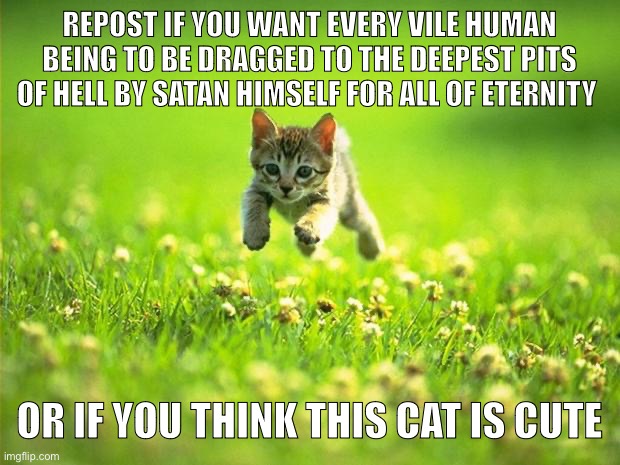 Every time I smile God Kills a Kitten | REPOST IF YOU WANT EVERY VILE HUMAN BEING TO BE DRAGGED TO THE DEEPEST PITS OF HELL BY SATAN HIMSELF FOR ALL OF ETERNITY; OR IF YOU THINK THIS CAT IS CUTE | image tagged in every time i smile god kills a kitten | made w/ Imgflip meme maker