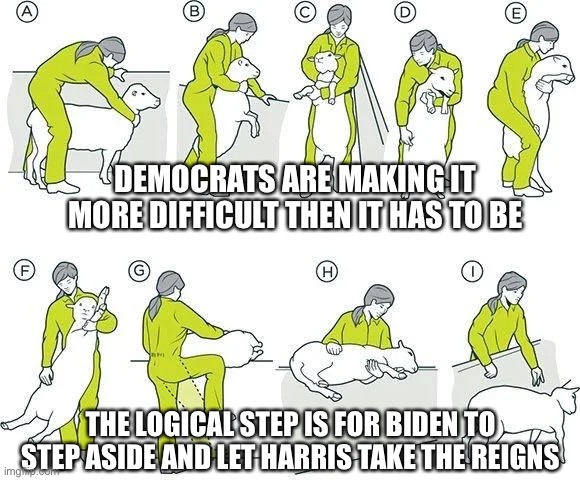 Want to retain power yet can’t get out of their own way | DEMOCRATS ARE MAKING IT MORE DIFFICULT THEN IT HAS TO BE; THE LOGICAL STEP IS FOR BIDEN TO STEP ASIDE AND LET HARRIS TAKE THE REIGNS | image tagged in the struggle is real | made w/ Imgflip meme maker