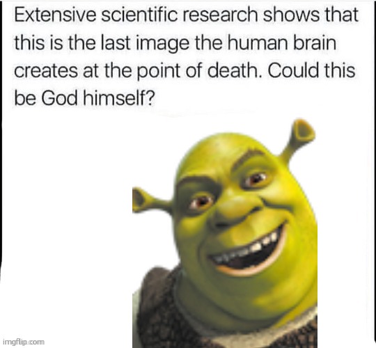 shrek da god | image tagged in could this be god himself | made w/ Imgflip meme maker