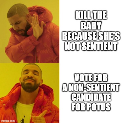 Drake Blank | KILL THE BABY BECAUSE SHE'S NOT SENTIENT; VOTE FOR A NON-SENTIENT CANDIDATE FOR POTUS | image tagged in drake blank | made w/ Imgflip meme maker