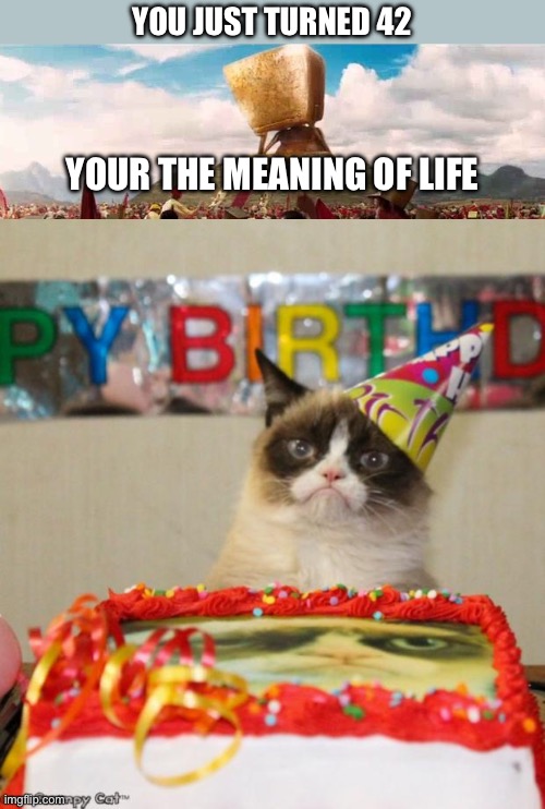 This is meant for my mom happy birthday mom | YOU JUST TURNED 42; YOUR THE MEANING OF LIFE | image tagged in deep thought super computer - hitchhikers guide to the galaxy,memes,grumpy cat birthday | made w/ Imgflip meme maker