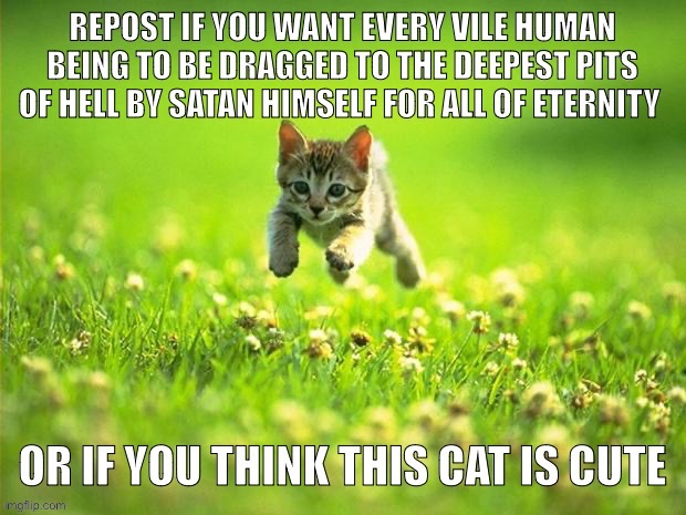 Both are good | image tagged in repost if you think this cat is cute | made w/ Imgflip meme maker
