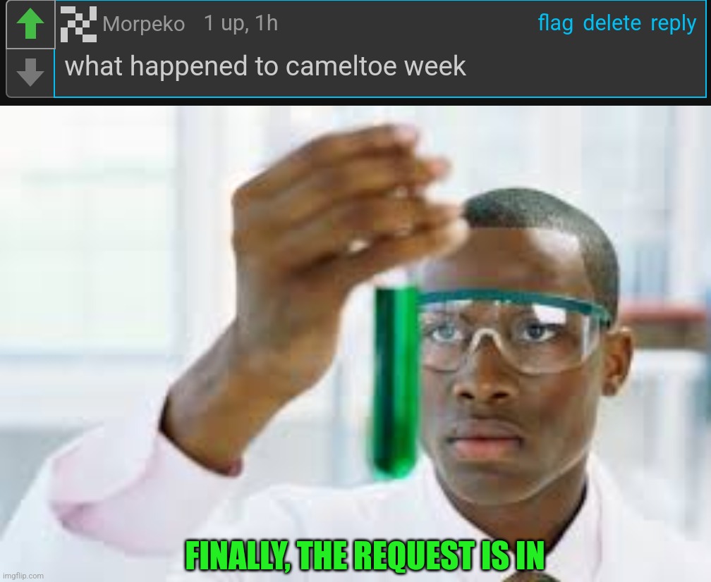 Special request | FINALLY, THE REQUEST IS IN | image tagged in finally,cameltoe week | made w/ Imgflip meme maker