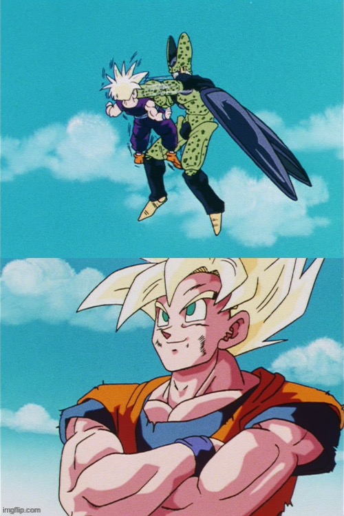 gohan vs cell fight | image tagged in gohan vs cell fight | made w/ Imgflip meme maker