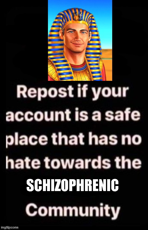 Repost if your account meets the criteria | SCHIZOPHRENIC | image tagged in repost if your account meets the criteria | made w/ Imgflip meme maker