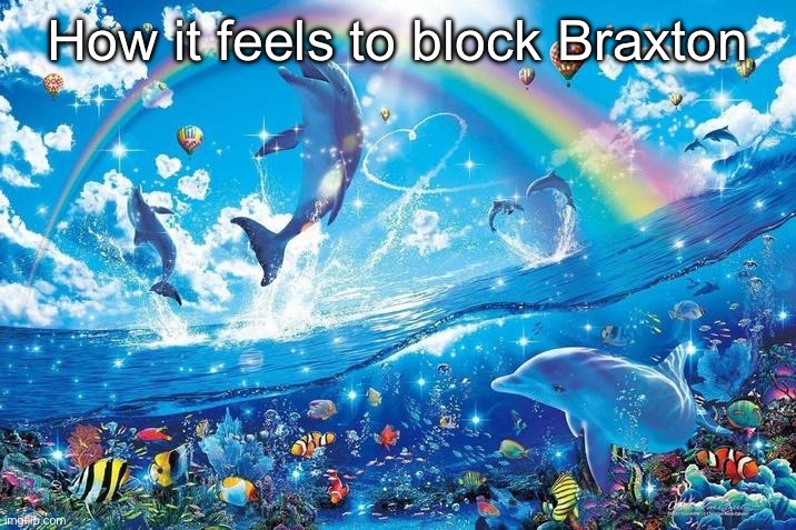 Happy dolphin rainbow | How it feels to block Braxton | image tagged in happy dolphin rainbow | made w/ Imgflip meme maker