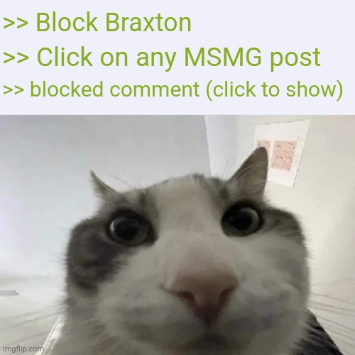 green text cat | >> Block Braxton >> Click on any MSMG post >> blocked comment (click to show) | image tagged in green text cat | made w/ Imgflip meme maker