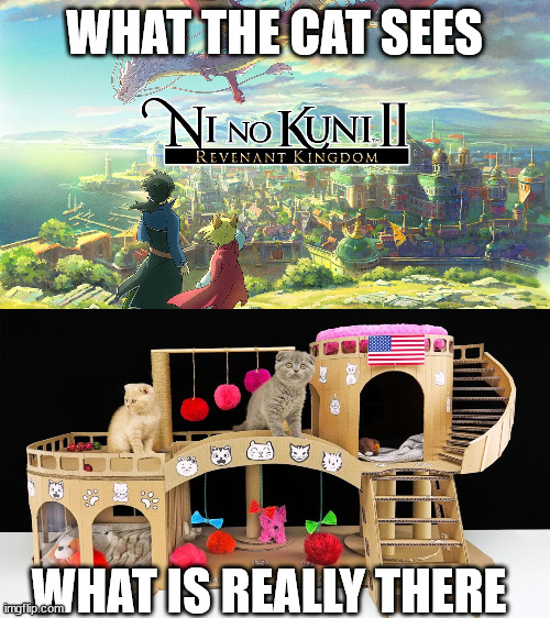 Cat's Thoughts VS Reality | WHAT THE CAT SEES; WHAT IS REALLY THERE | image tagged in cat meme,cats thoughts,thought vs reality | made w/ Imgflip meme maker
