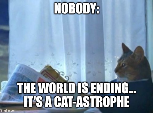 Cat-astrophe | NOBODY:; THE WORLD IS ENDING... IT'S A CAT-ASTROPHE | image tagged in memes,i should buy a boat cat,puns,jpfan102504 | made w/ Imgflip meme maker