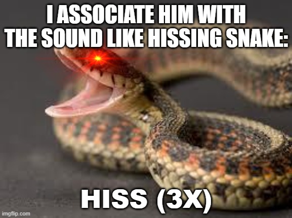 it's a heavy lift, with a gift so humbling: | I ASSOCIATE HIM WITH THE SOUND LIKE HISSING SNAKE:; HISS (3X) | image tagged in warning snake,meme,encanto | made w/ Imgflip meme maker