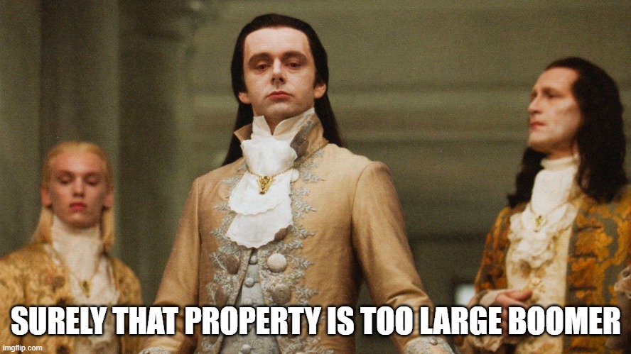 Surely your land is too big | SURELY THAT PROPERTY IS TOO LARGE BOOMER | image tagged in judgemental volturi | made w/ Imgflip meme maker