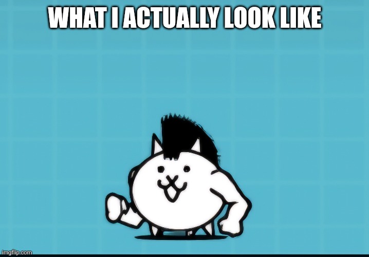 WHAT I ACTUALLY LOOK LIKE | made w/ Imgflip meme maker