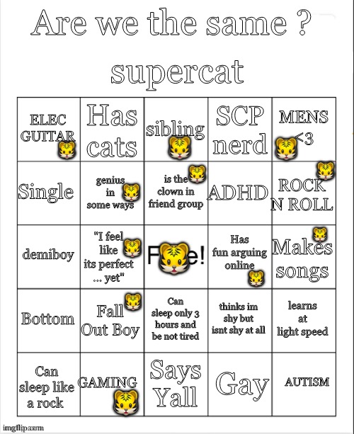 Supercat bingo (no bingo) | 🐯; 🐯; 🐯; 🐯; 🐯; 🐯; 🐯; 🐯; 🐯; 🐯; 🐯; 🐯 | image tagged in supercat bingo,bingo,lgbtq,music,guitar,gaming | made w/ Imgflip meme maker
