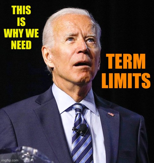 Joe Biden | THIS IS WHY WE NEED; TERM LIMITS | image tagged in joe biden | made w/ Imgflip meme maker