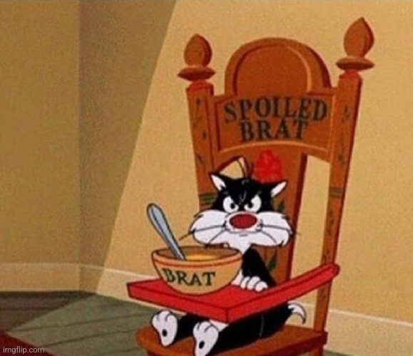 Spoiled Brat Cat | image tagged in spoiled brat cat | made w/ Imgflip meme maker