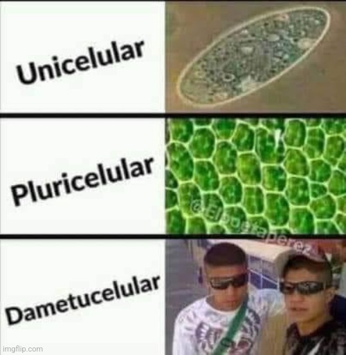 8ww9jb.jpg