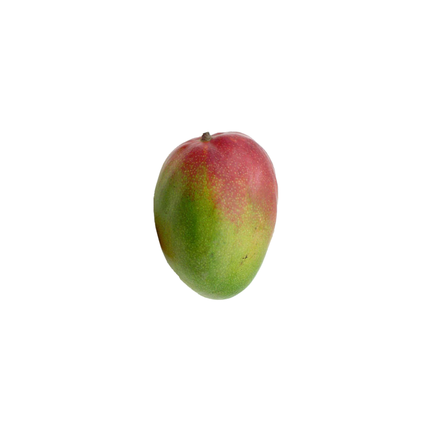 Mango Of Life Blank Meme Template