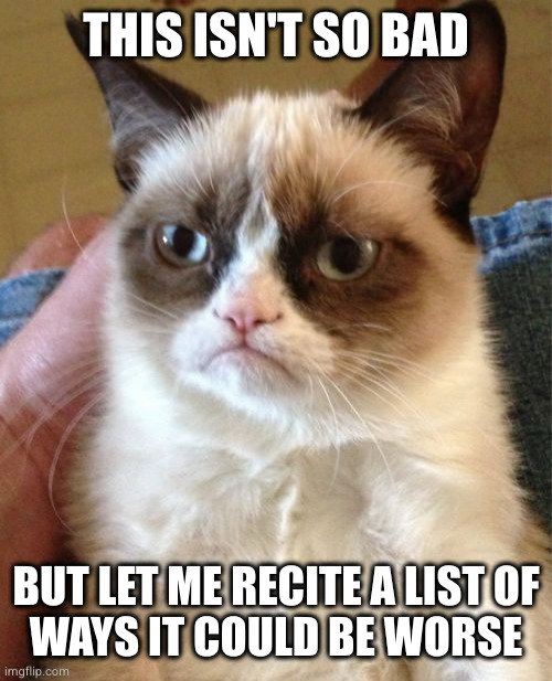 Grumpy Cat | THIS ISN'T SO BAD; BUT LET ME RECITE A LIST OF
WAYS IT COULD BE WORSE | image tagged in memes,grumpy cat | made w/ Imgflip meme maker