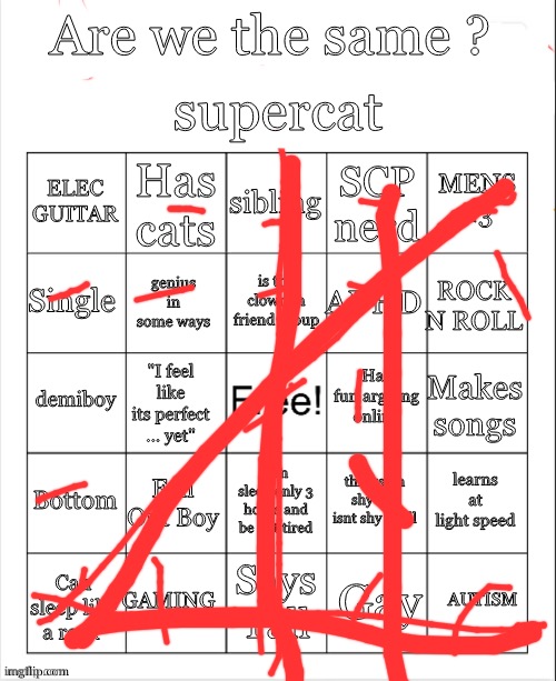 Supercat bingo | image tagged in supercat bingo | made w/ Imgflip meme maker