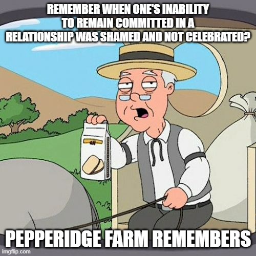 Divorce rings... seriously? | REMEMBER WHEN ONE'S INABILITY TO REMAIN COMMITTED IN A RELATIONSHIP WAS SHAMED AND NOT CELEBRATED? PEPPERIDGE FARM REMEMBERS | image tagged in memes,pepperidge farm remembers | made w/ Imgflip meme maker