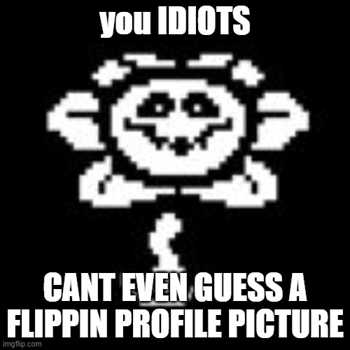 Flowey | you IDIOTS; CANT EVEN GUESS A FLIPPIN PROFILE PICTURE | image tagged in flowey | made w/ Imgflip meme maker