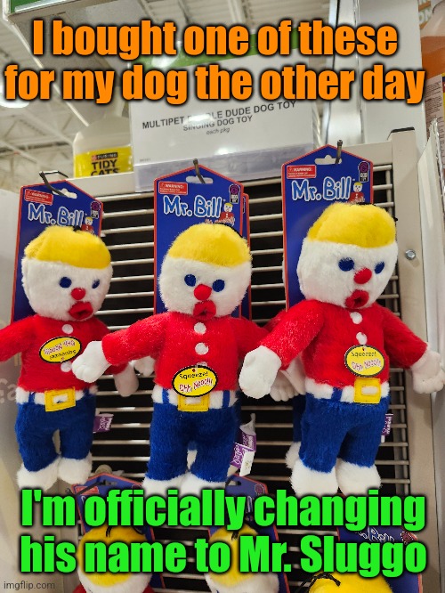 Oh, no, Mr.Bill! | I bought one of these for my dog the other day; I'm officially changing his name to Mr. Sluggo | image tagged in mr bill,dog,toy,mr sluggo,saturday night live,tv show | made w/ Imgflip meme maker