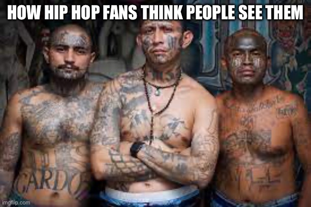 Music slander #7 | HOW HIP HOP FANS THINK PEOPLE SEE THEM | image tagged in gang members,hip hop,music | made w/ Imgflip meme maker