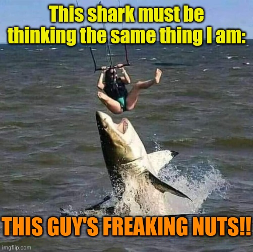 Missed it by THAT much! | This shark must be thinking the same thing I am:; THIS GUY'S FREAKING NUTS!! | image tagged in sharks,parasailing,ocean,danger,freaking nuts | made w/ Imgflip meme maker