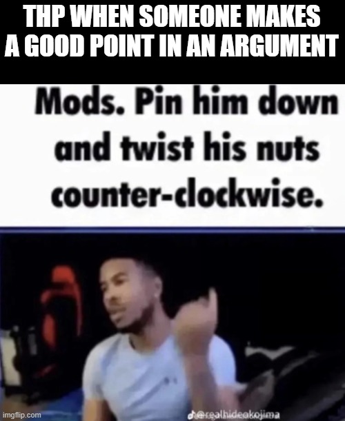 ltg slander 2 | THP WHEN SOMEONE MAKES A GOOD POINT IN AN ARGUMENT | image tagged in mods pin him down and twist his nuts counter-clockwise | made w/ Imgflip meme maker