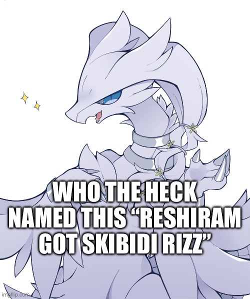 Disappointment | WHO THE HECK NAMED THIS “RESHIRAM GOT SKIBIDI RIZZ” | image tagged in reshiram got skibidi rizz | made w/ Imgflip meme maker