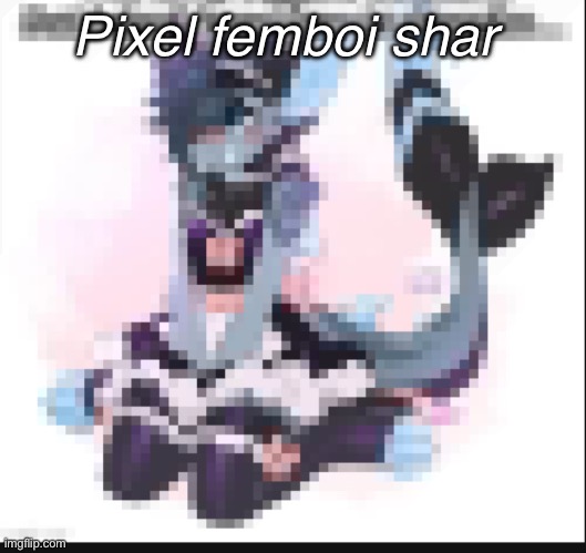 Pixel femboi shar | made w/ Imgflip meme maker