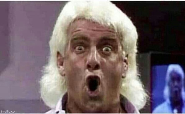 Ric Flair Whooo | image tagged in ric flair whooo | made w/ Imgflip meme maker