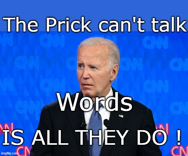 Quick, give him the most important job in the world | The Prick can't talk; Words; IS ALL THEY DO ! | image tagged in biden cant talk meme | made w/ Imgflip meme maker