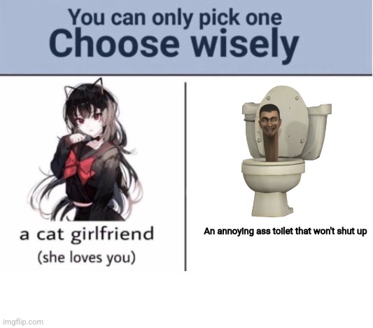 Choose wisely | An annoying ass toilet that won't shut up | image tagged in choose wisely | made w/ Imgflip meme maker