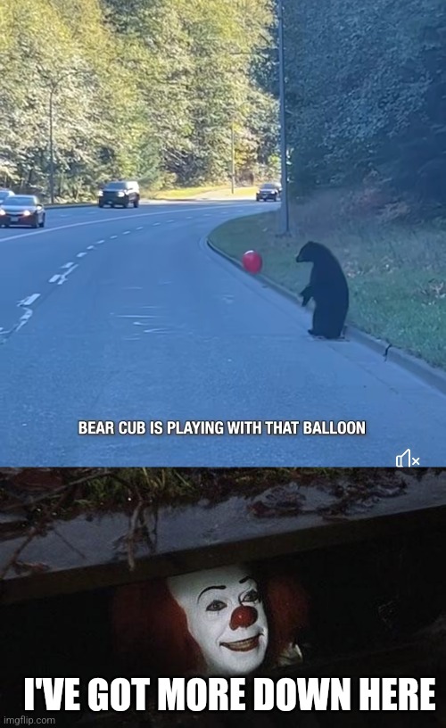 BEAR CUB IS GONNA FIND PENNYWISE | I'VE GOT MORE DOWN HERE | image tagged in it hey jason kipnis is down here,pennywise,it | made w/ Imgflip meme maker