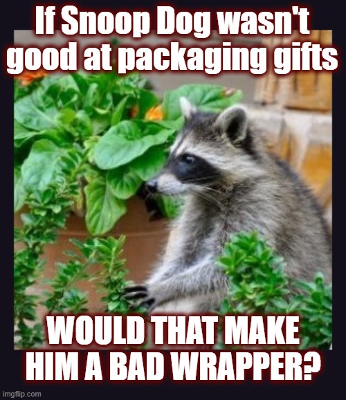 Live In The Present! (See comments) | If Snoop Dog wasn't good at packaging gifts; WOULD THAT MAKE HIM A BAD WRAPPER? | image tagged in live in the present,lame pun coon,rap,gifts | made w/ Imgflip meme maker