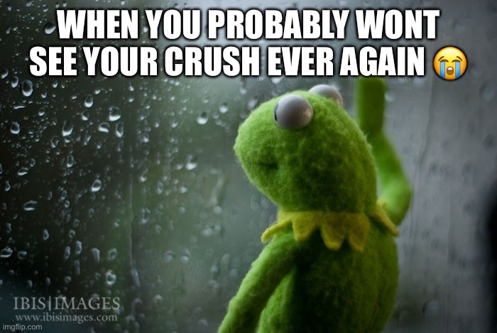 Welcome to my life | WHEN YOU PROBABLY WONT SEE YOUR CRUSH EVER AGAIN 😭 | image tagged in kermit window,moving away,sad | made w/ Imgflip meme maker