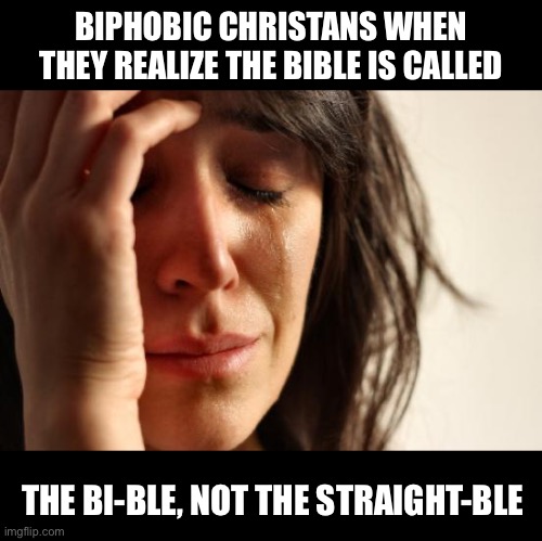 Shit post: Biphobic Christians | BIPHOBIC CHRISTANS WHEN THEY REALIZE THE BIBLE IS CALLED; THE BI-BLE, NOT THE STRAIGHT-BLE | image tagged in first world problems,lgbtq,bisexual,christian,bible,shitpost | made w/ Imgflip meme maker