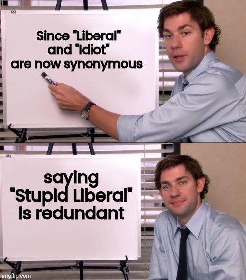 They never cease to amuse me | Since "Liberal" and "Idiot" are now synonymous; saying "Stupid Liberal" is redundant | image tagged in jim halpert explains,liberal,idiot,they're the same picture,nice voting,epic fail | made w/ Imgflip meme maker