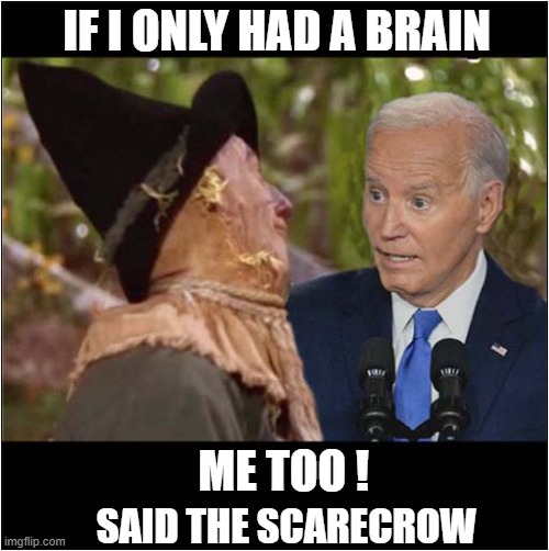 He Should Be Off To See ... Somebody ? | IF I ONLY HAD A BRAIN; ME TOO ! SAID THE SCARECROW | image tagged in biden,wizard of oz scarecrow,brain,politics | made w/ Imgflip meme maker