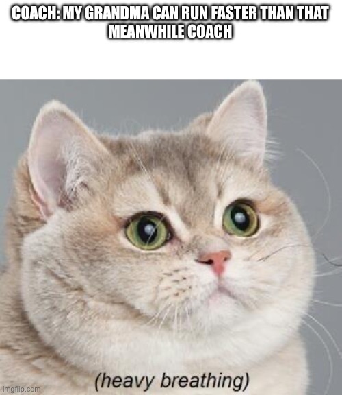 Heavy Breathing Cat Meme | COACH: MY GRANDMA CAN RUN FASTER THAN THAT
MEANWHILE COACH | image tagged in memes,heavy breathing cat | made w/ Imgflip meme maker