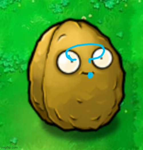 Wall-Nut | image tagged in wall-nut | made w/ Imgflip meme maker