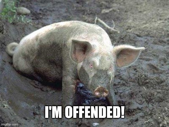 Pig in Mud | I'M OFFENDED! | image tagged in pig in mud | made w/ Imgflip meme maker